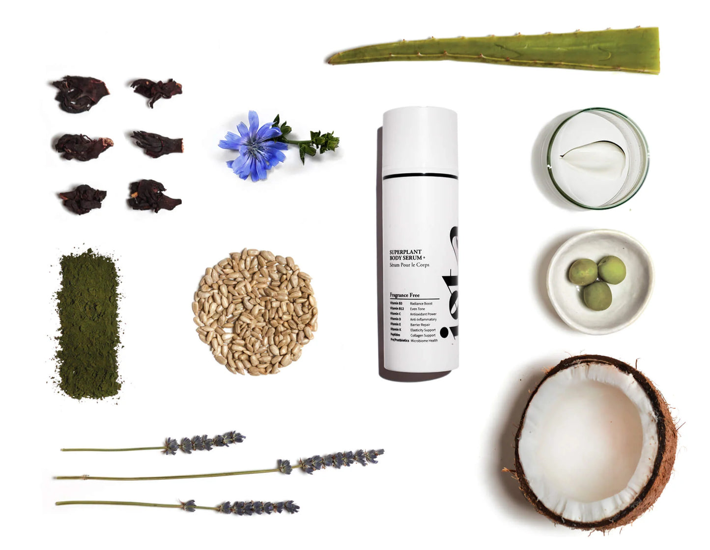 Superplant Body Serum+